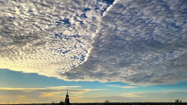 20231223-Angel-Wings