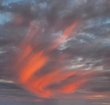 20231228-Sunset